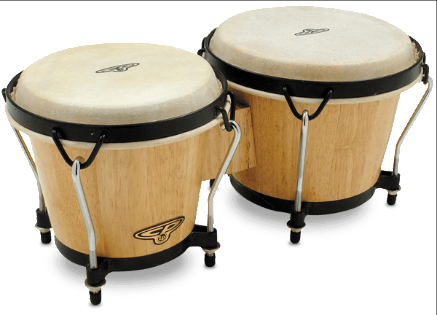 Latin Percussion CP221-AW Traditional Wood Bongos - Natural