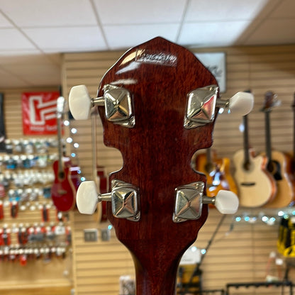 Fender Used Banjo