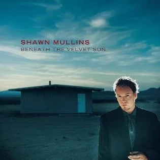 Beneath the Velvet Sun by Shawn Mullins (CD, Oct-2000, 2 Discs, Columbia (USA))