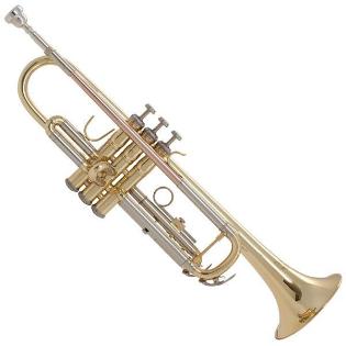 TR711 Prelude Student Trumpet